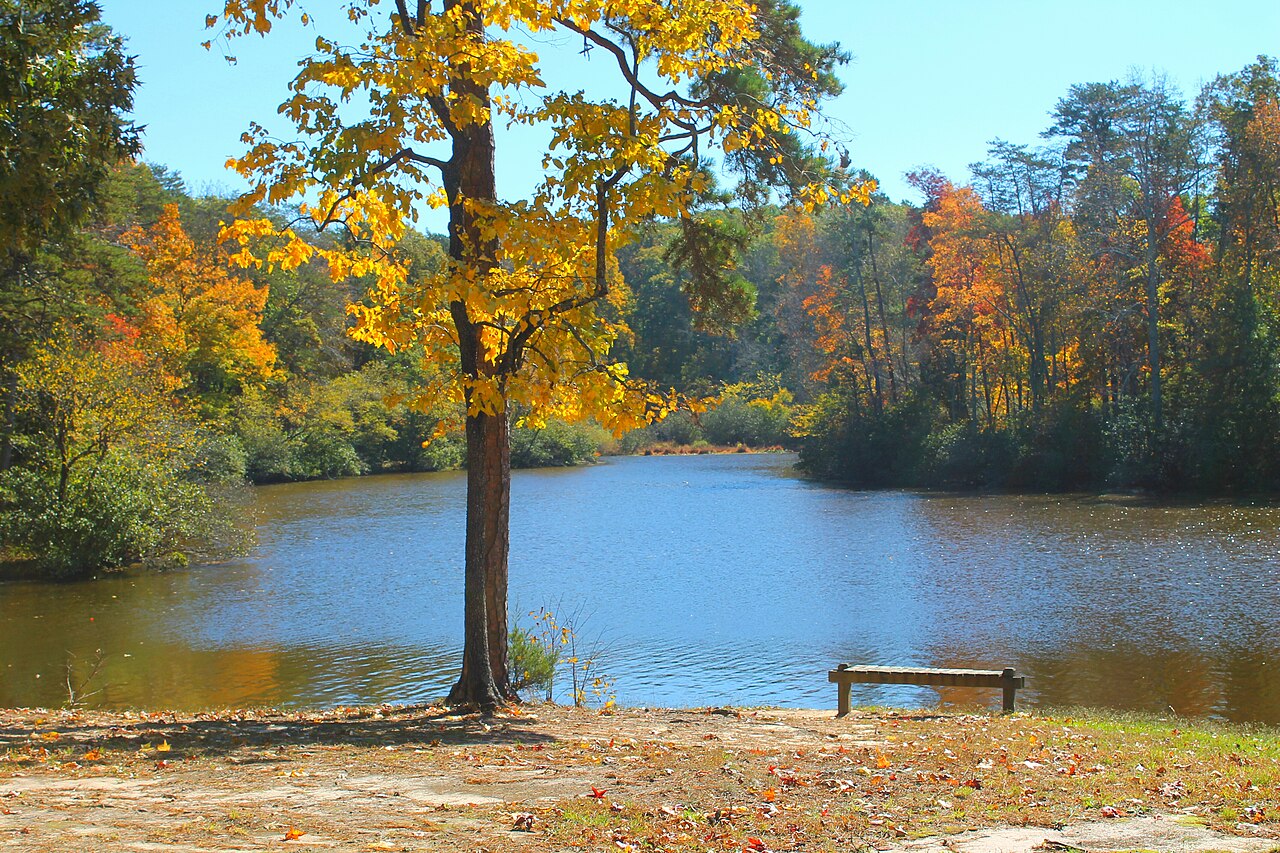 Autumn trees beside Bear Creek Lake