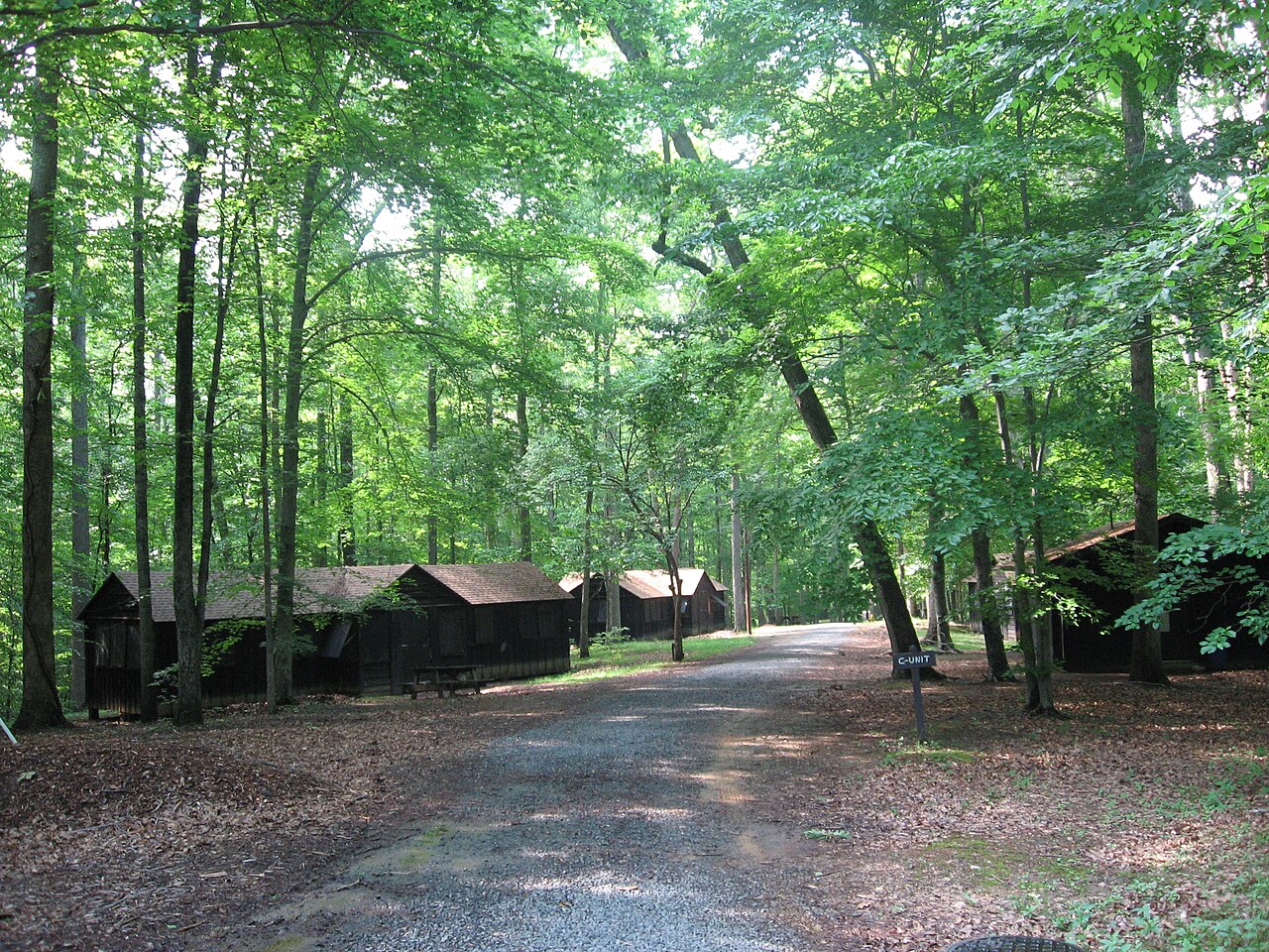 Wooded lane and cabins at Cabin Camp 3 in Prince William Forest Park