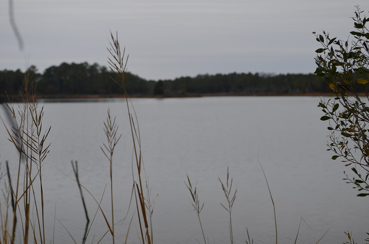 American landscape