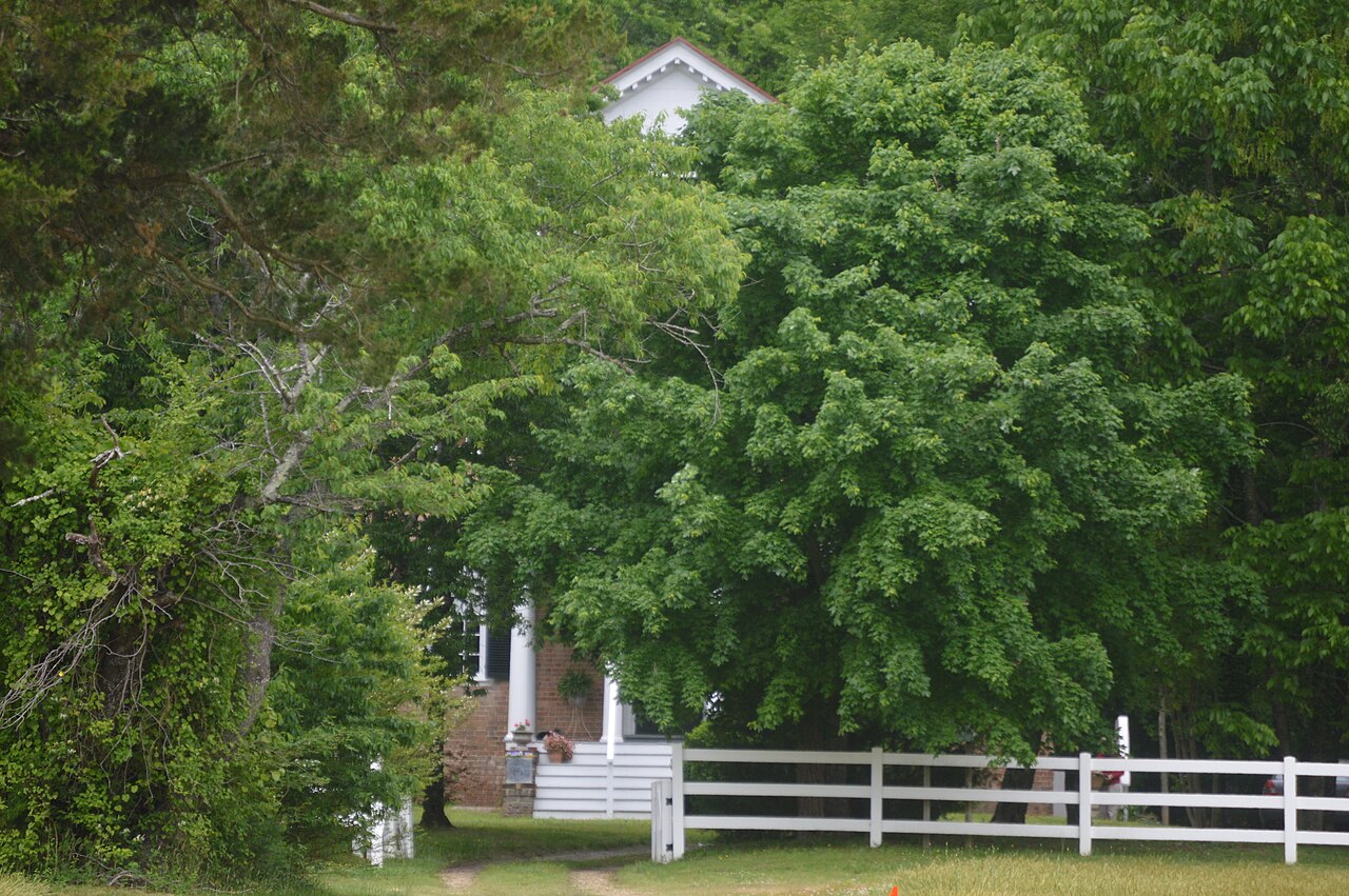 Aberdeen house partly hidden by trees behind a white fence