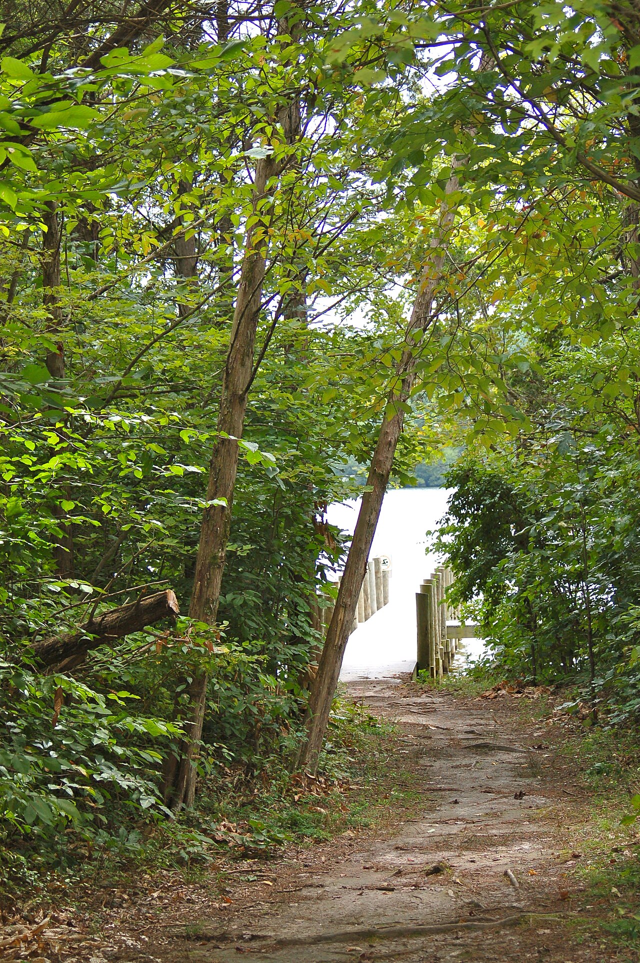 Wooded footpath beside a small structure at Lake Anna State Park