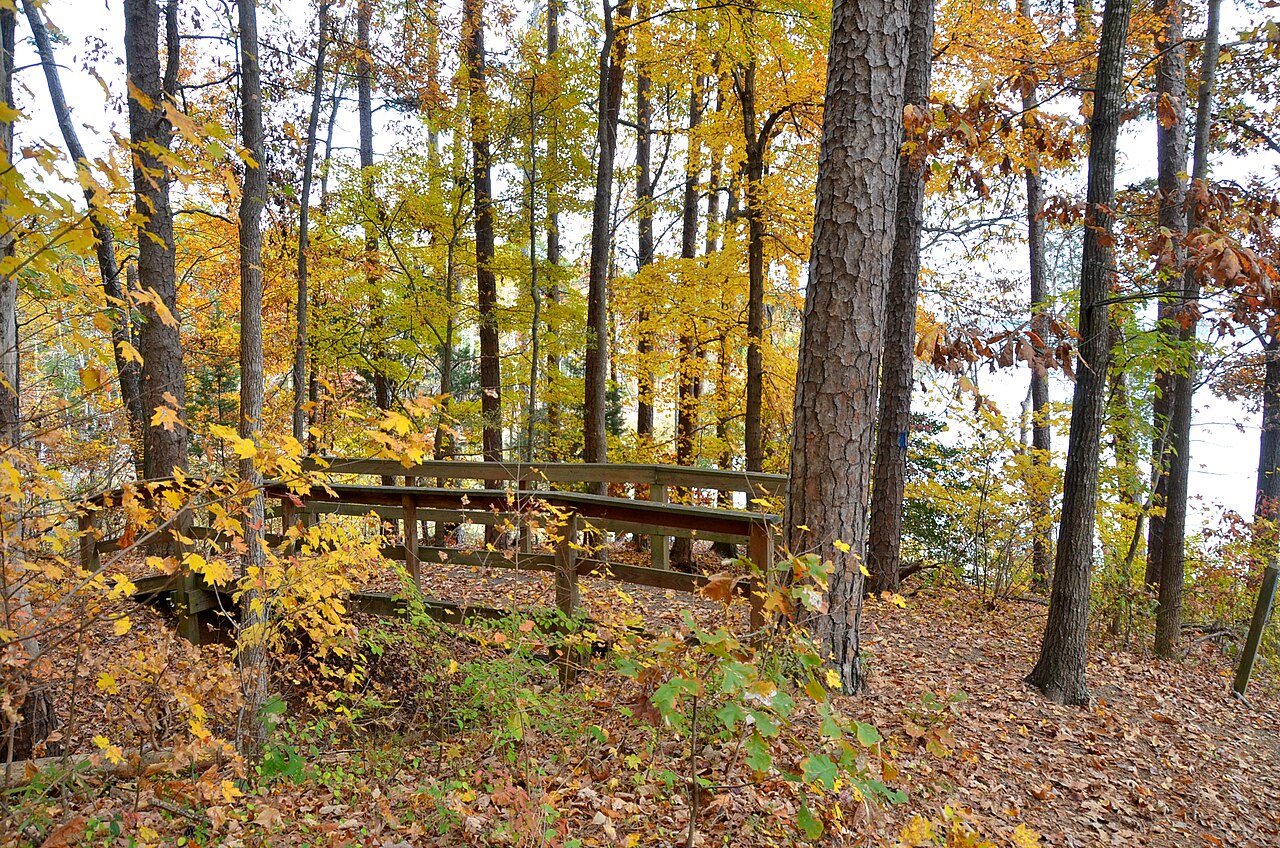 Wooden footbridge and autumn leaves at Staunton River State Park