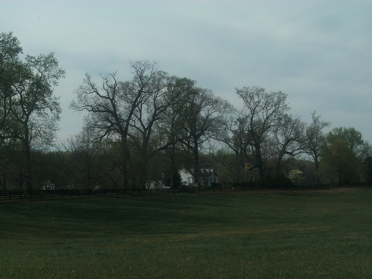 The Wigwam house seen across a lawn through mature trees