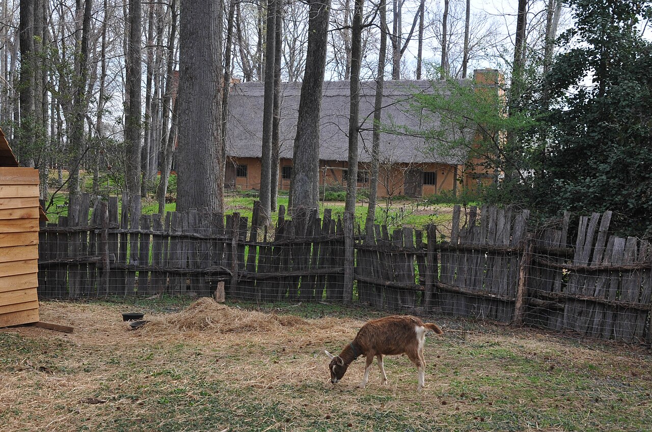 Deer beside timber structures and a fence at Henricus Historical Park