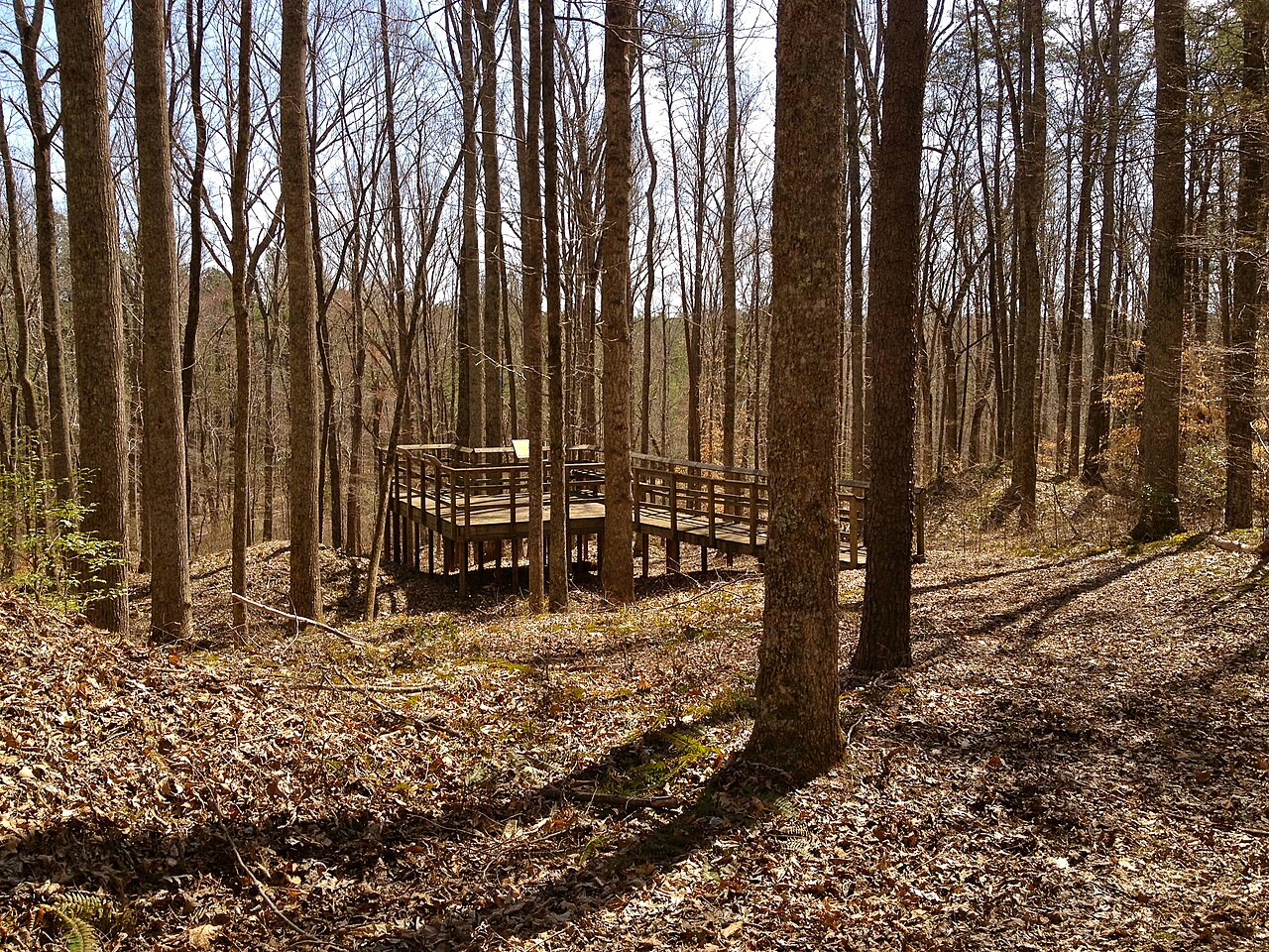 Wooden viewing platform at the Lake Anna gold mine site