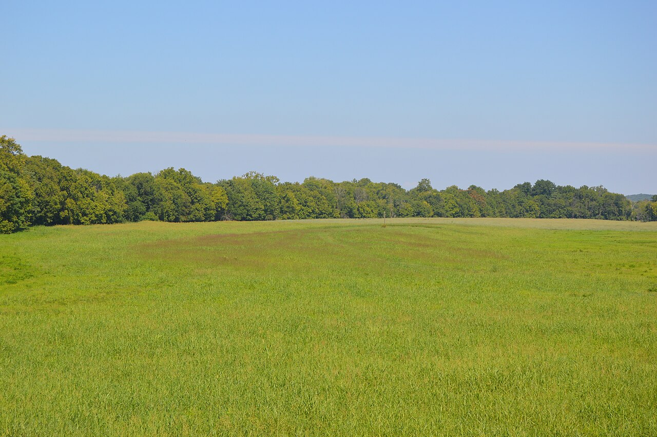 Open field at the Wade site in Staunton River Battlefield State Park